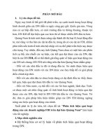 Phân tich hiệu quả hoạt động của các doanh nghiệp FDI trên đại bàn quảng nam (tt) 