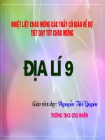 Bài 5. Thực hành: Phân tích và so sánh tháp dân số năm 1989 và năm 1999