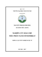 Nghiên cứu bào chế tiểu phân nano fenofibrat 