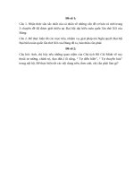 Bài thu hoạch chính trị hè năm 2017