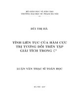 Luận văn tính liên tục của hàm cực trị tương đối trên tập giải tích trong cn