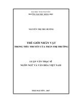 Thế giới nhân vật trong tiểu thuyết của Trần Thị Trường (LV thạc sĩ)