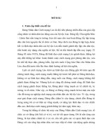 Xây dựng chi bộ vững mạnh ở đảng bộ huyện đak chưng, tỉnh sê kong, nước cộng hòa dân chủ nhân dân lào hiện nay khóa luận tốt nghiệp