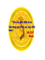 Bài 17. Quá trình hình thành và phát triển của nhà nước phong kiến