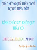 Bài 23. Kinh tế, văn hoá thế kỉ XVI - XVIII