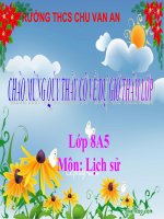 Bài 11. Các nước Đông Nam Á cuối thế kỉ XIX - đầu thê kỉ XX