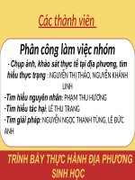 Bài 33. Thực hành: Xem phim về một số tập tính ở động vật