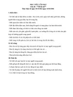 giáo án chủ điểm bản thân