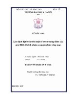 Xác định đột biến trên một số exon trọng điểm của gen RB1 ở bệnh nhân u nguyên bào võng mạc