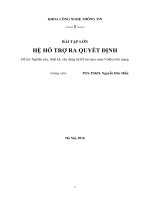 Tiểu luận môn Hệ hỗ trợ ra quyết định Nghiên cứu, thiết kế, xây dựng hệ hỗ trợ mua rượu Vodka trên mạng