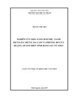 Nghiên cứu khả năng hấp phụ xanh metylen, metyl da cam, phenol đỏ của quặng apatit biến tính bằng sắt từ oxit