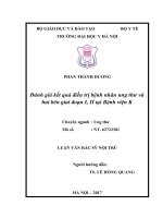 Đánh giá kết quả điều trị bệnh nhân ung thư vú hai bên giai đoạn I, II tại Bệnh viện K