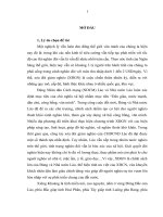 Lãnh đạo thực hiện công tác xóa đói giám nghèo của đảng bộ tỉnh xiêng khoảng nước cộng hòa dân chủ nhân dân lào hiện nay khóa luận tốt nghiệp