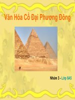 Lịch sử lớp 6- Văn Hóa Cổ Đại