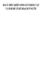 Bài 47. Điều khiển sinh sản ở động vật và sinh đẻ có kế hoạch ở người