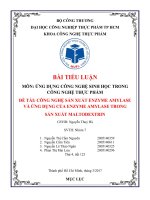 Công nghệ sản xuất enzyme amylase và ứng dụng của enzyme amylase trong sản xuất maltodextrin