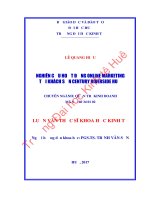 NGHIÊN cứu HOẠT ĐỘNG ONLINE MARKETING tại KHÁCH sạn CENTURY RIVERSIDE HUẾ 