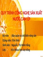 Quy trình sản xuất nước cam ép Bảo quản và chế biến nông sản
