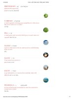 VOCA   hệ THỐNG học TIẾNG ANH THÔNG MINH 