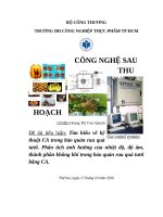 Tiểu luận Tìm hiểu về kỹ thuật CA trong bảo quản rau quả tươi. Phân tích ảnh hưởng của nhiệt độ, độ ẩm, thành phần không khí trong bảo quản rau quả tươi bằng CA