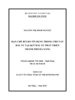 Hạn chế rủi ro tín dụng trong cho vay đầu tư tại quỹ đầu tư phát triển thành phố đà nẵng (tt) 