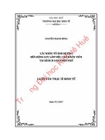 CÁC NHÂN tố ẢNH HƯỞNG đến ĐỘNG lực làm VIỆC của NHÂN VIÊN tại KHÁCH sạn XANH HUẾ 