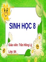 Bài 39. Bài tiết nước tiểu