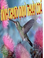 Bài 39. Bài tiết nước tiểu