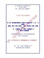 MỨC độ hài LÒNG CÔNG VIỆC và ý ĐỊNH QUAY TRỞ lại nước NGOÀI SINH SỐNG của NHỮNG NGƯỜI đã TỪNG DU học và làm VIỆC ở nước NGOÀI   TRƯỜNG hợp NGHIÊN cứu tại TỈNH THỪA THIÊN HUẾ 