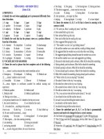 BT AV 11 - REVISION TEST 02 (Units 4-5-6)