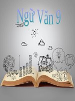 Bài 8. Lục Vân Tiên cứu Kiều Nguyệt Nga