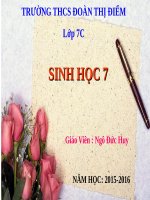Bài 51. Đa dạng của lớp Thú: Các bộ Móng guốc và bộ Linh trưởng