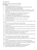 CÂU hỏi ôn tập chất kết dính