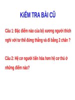 Bài 12. Thực hành: Tập sơ cứu và băng bó cho người gãy xương