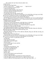 ĐỀ CƯƠNG ÔN TẬP THI CUỐI KÌ I MÔN VĂN