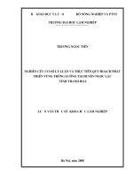 Nghiên cứu cơ sở lý luận và thực tiễn quy hoạch phát triển vùng trồng luồng tự nhiên tại huyện ngọc lặc tỉnh thanh hóa 