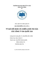 Tiểu luận môn tài chính quốc tế tỷ giá hối đoái và chiến lược FDI của các công ty đa quốc gia 