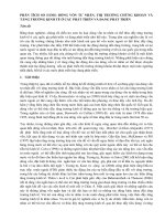 Tiểu luận phân tích so sánh dòng vốn tư nhân, thị trường chứng khoán và tăng trưởng kinh tế ở các nước phát triển và đang phát triển 