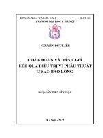 Chẩn đoán và đánh giá kết quả điều trị vi phẫu thuật u sao bào lông (FULL TEXT)