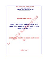 NÂNG CAO CHẤT LƯỢNG DỊCH vụ CHĂM sóc KHÁCH HÀNG tại VIỄN THÔNG QUẢNG TRỊ 