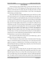 Phát triển thị trường tiêu thụ sản phẩm của chi nhánh công ty CP TM DV XNK Sangiang tại Đà Nẵng