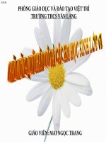 Bài 10. Cấu tạo miền hút của rễ