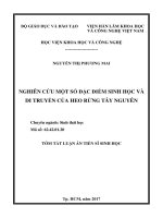 Nghiên cứu một số đặc điểm sinh học và di truyền của heo rừng Tây Nguyên (tt)