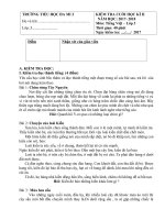 Đề thi Tiếng Việt HKI 2017-2018 (Có mức)