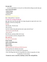 quản lý lưu vực Xói mòn đất