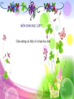 Bài 28. Thực hành: Xem băng hình về tập tính của sâu bọ