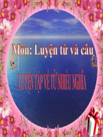 Tuần 7-8. Luyện tập về từ nhiều nghĩa