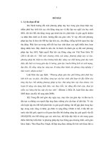 Luan van  phat  trien nang luc giai quyet van de trong day hoc Bat dang thuc