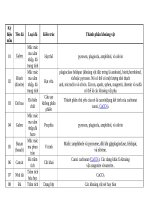 mẫu đá , loại đá, Thành phần khoáng vật