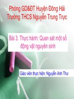 Bài 3. Thực hành: Quan sát một số động vật nguyên sinh